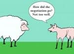 Cartoon of two sheep, one totally sheared saying," How did the negotiation go? Not too well."