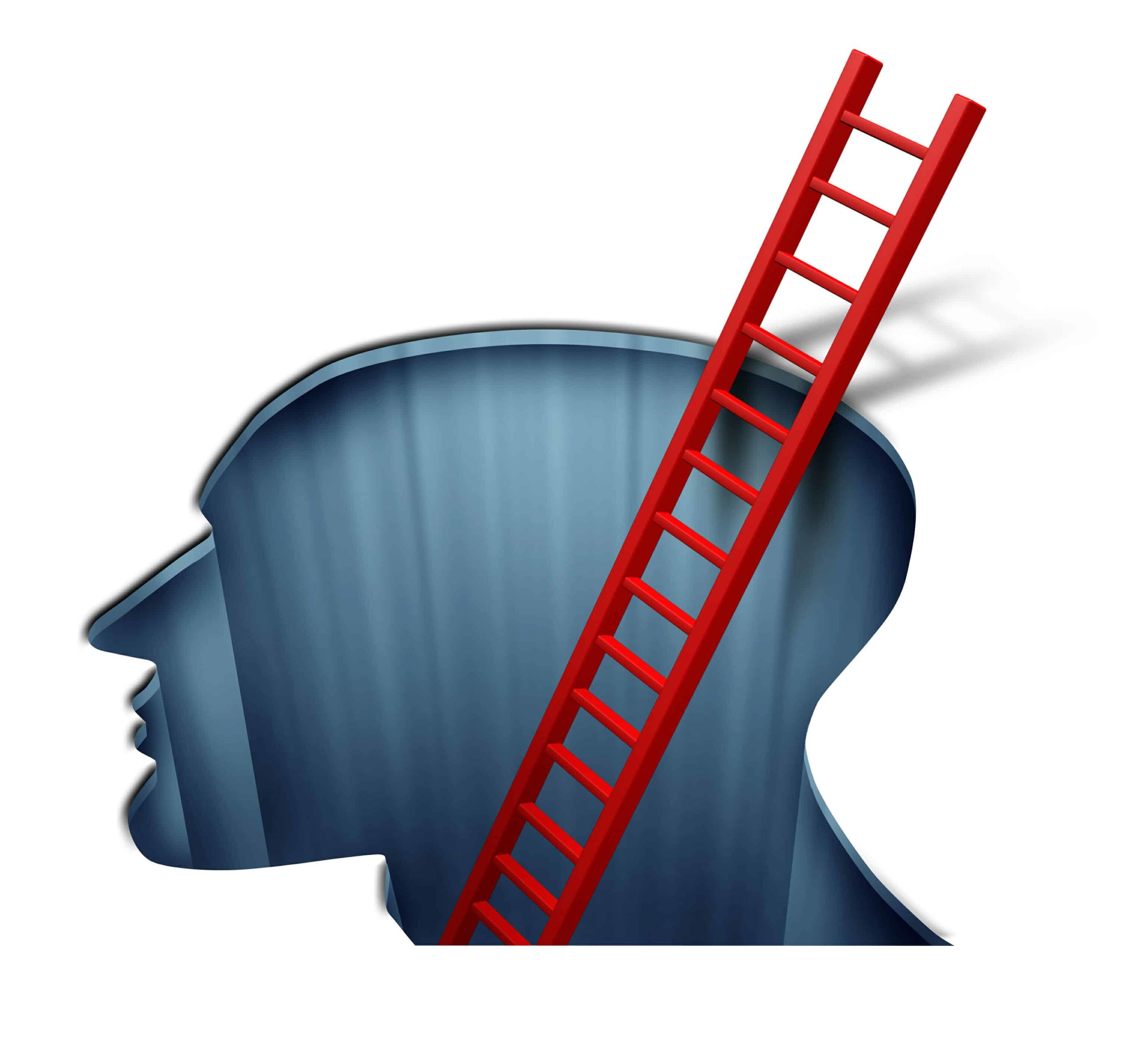 Silhouette of a head on a white background with a red ladder coming out of it.