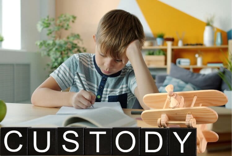 A young boy writing on a desk. The image is framed with the word "custody" spelled out in blocks