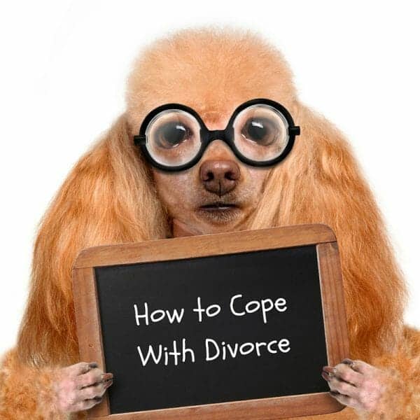 Poodle with thick glasses holding up chalkboard that says "How to Cope With Divorce."