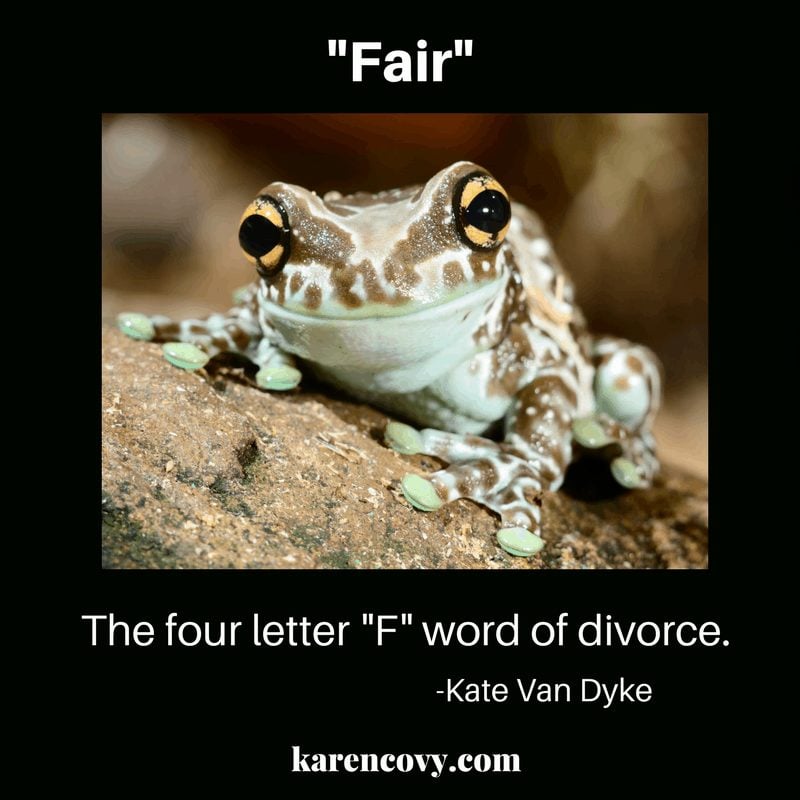 Frog looking at camera with saying "Fair is the 4 letter "F" word of divorce."