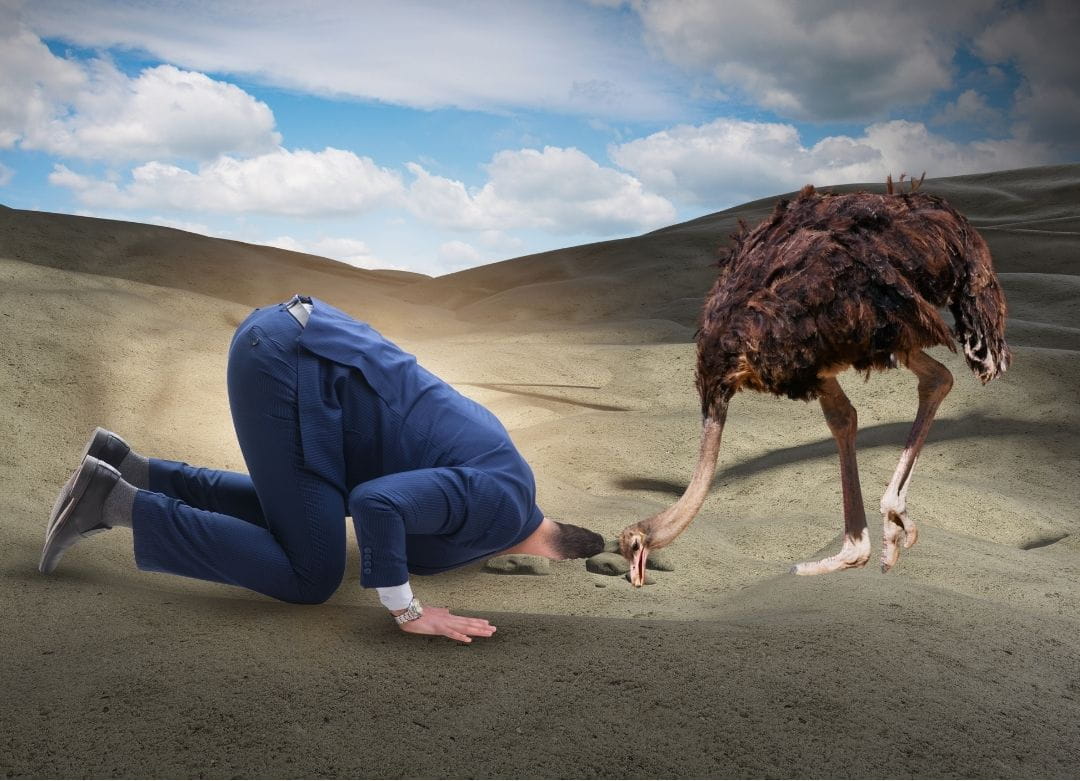 ostrich head in the sand An ostrich and a man burying their head in the sand