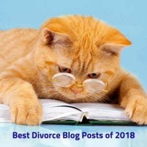 Orange cat with glasses reading a book: The Best Divorce Blog Posts of 2018