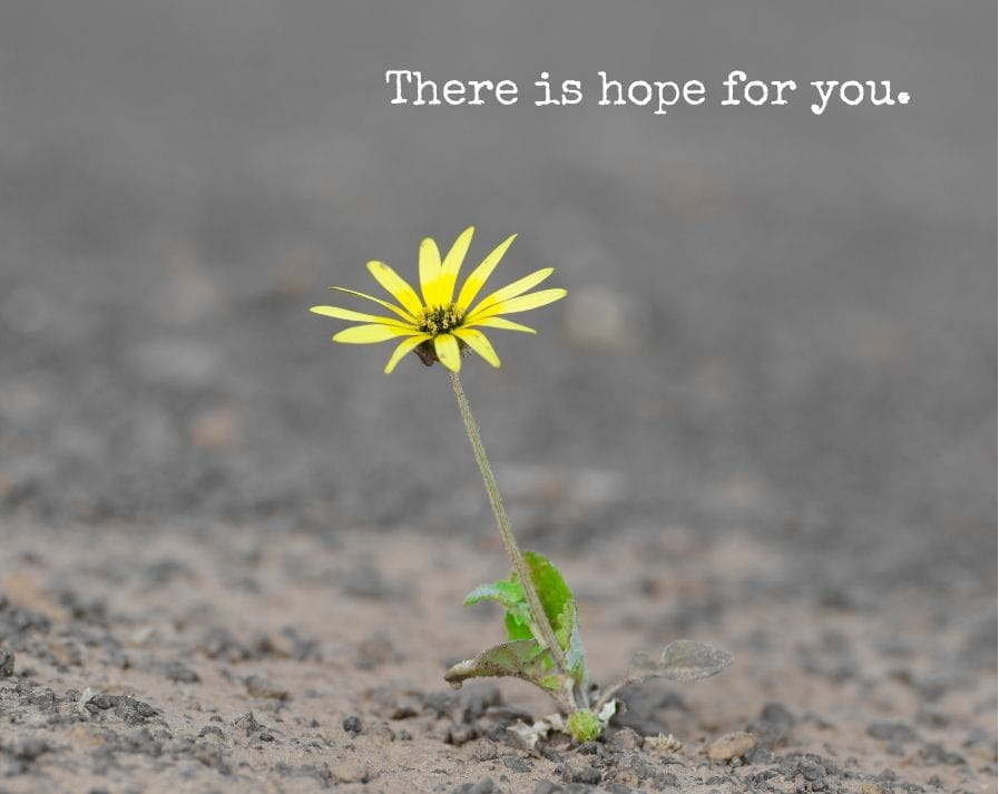 flower symbolizing hope and resilience flower growing through the cracks, symbolizing hope and resilience