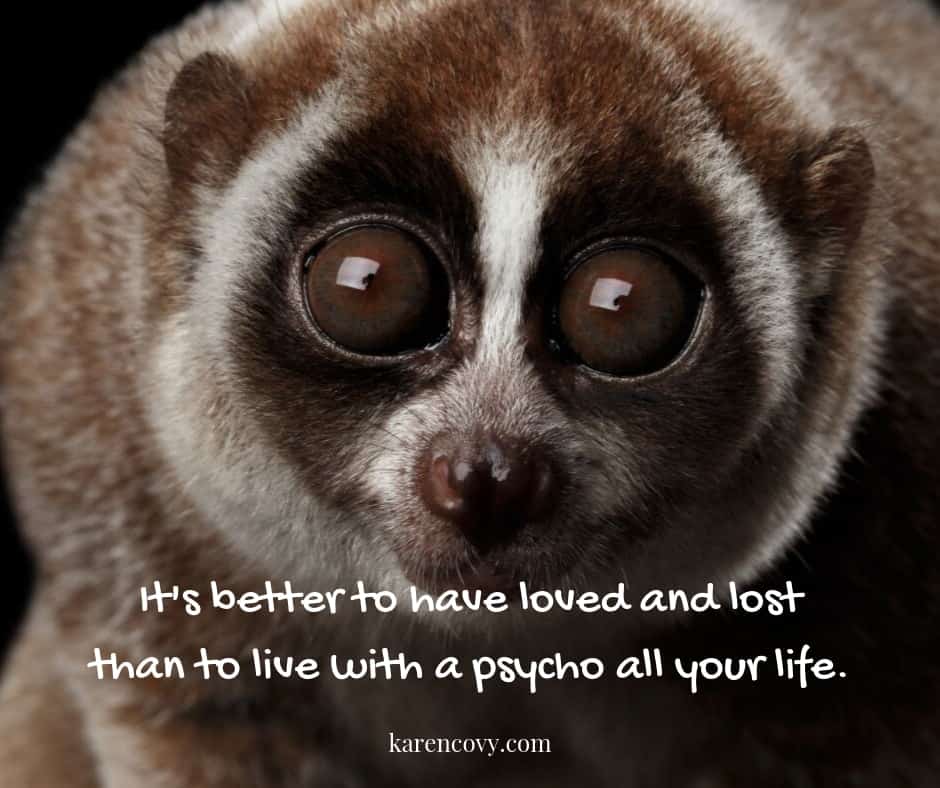 Close up of sloth with Funny divorce quote: "It's better to have loved and lost than to live with a psycho all your life."
