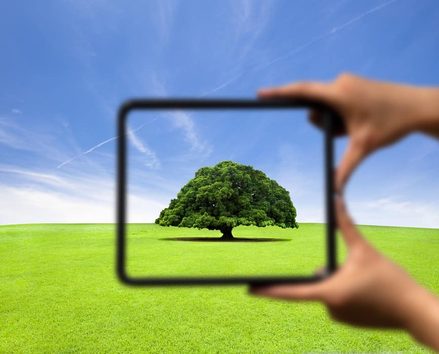 Hands holding a frame. The tree inside the frame is clear. Everything outside the frame is blurry. Reframe.