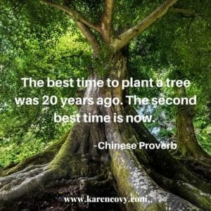 Giant tree with big roots with Chinese proverb, "The best time to plant a tree was 20 years ago. The sceond bet time is now."