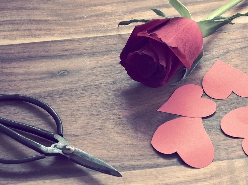 Scissors with cutout red hearts and a rose: Celebrating Valentine's Day