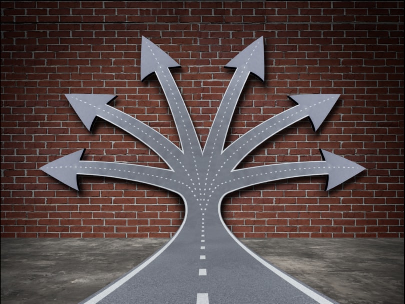 Decision Confusion Decision confusion: Road leading to a brick wall and splitting off in multiple directions.