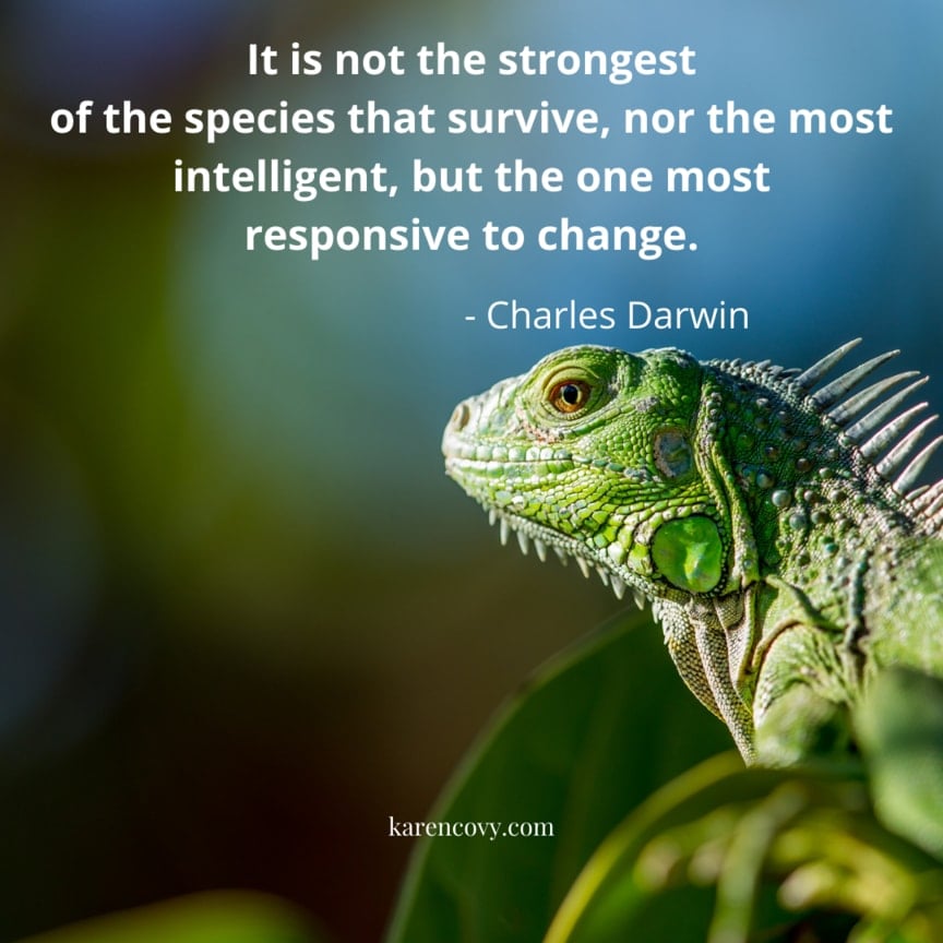 Close up of green lizard with the Darwin quote "It is not the strongest of the species that survive, nor the most intelligent, but the one most responsive to change."