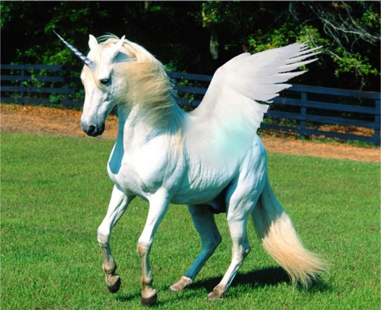 White flying unicorn - myths