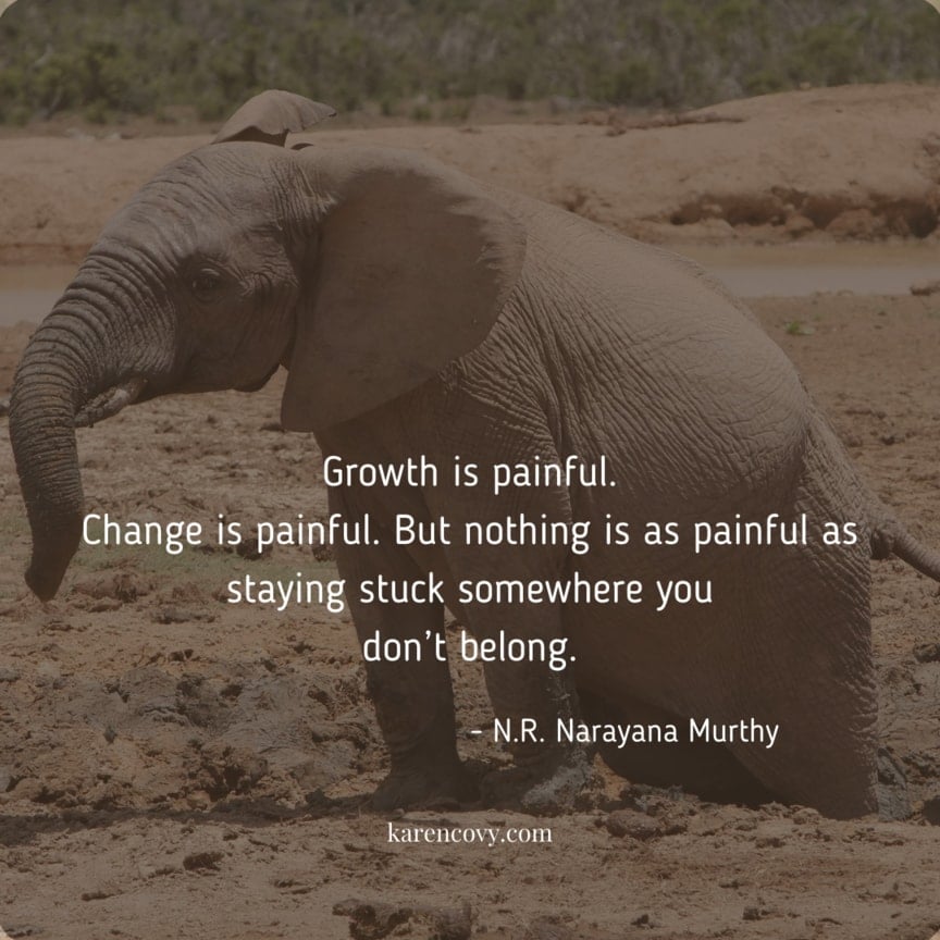 Picture of elephant stick n the mud with quote: "Growth is painful. Change is Painful. But nothing is as painfula s staying stuck somewhere you don't belong."