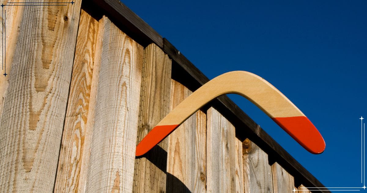 boomerang a boomerang, representing the boomerang generation