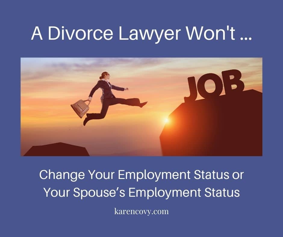 Meme: Picture someone with a briefcase leaping across a canyon at sunset with the caption, "A Divorce Lawyer Won't Help You Change Your Employment Status or Your Spouse's Employment Status."