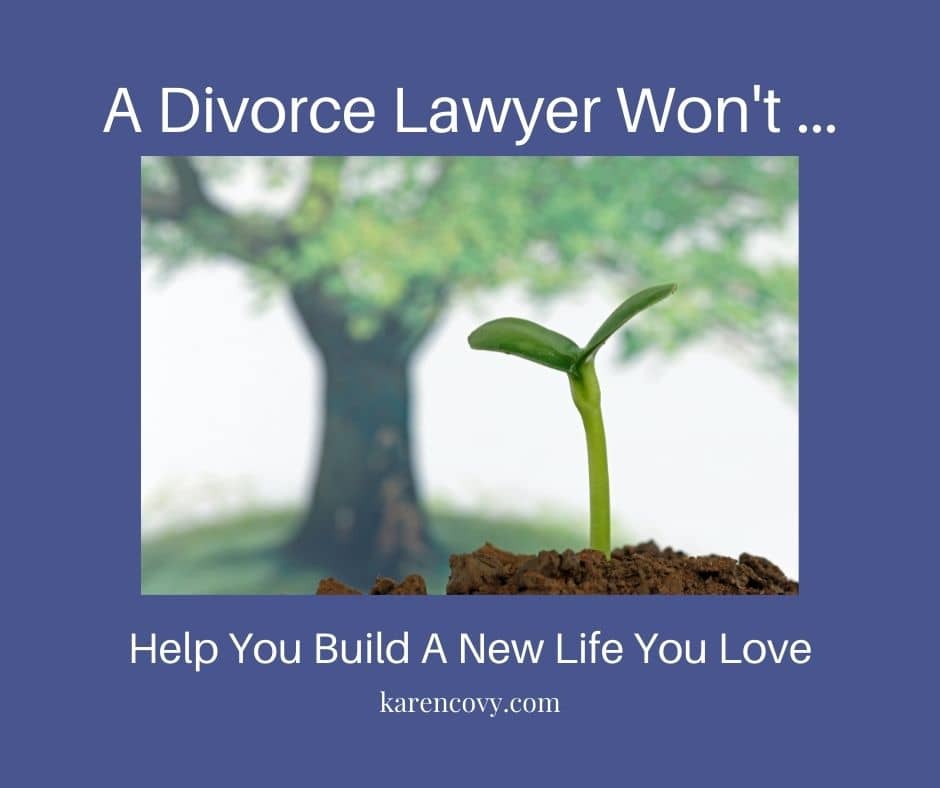 Meme: Picture of a new sprout coming out of the ground with caption, "A Divorce Lawyer Won't Help You Build a New Life You Love."