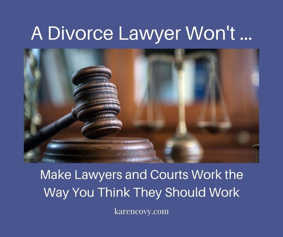 Meme: Picture of a courtroom with caption, "A Divorce Lawyer Won't Make Lawyers and Courts Work the Way You Think They Should."