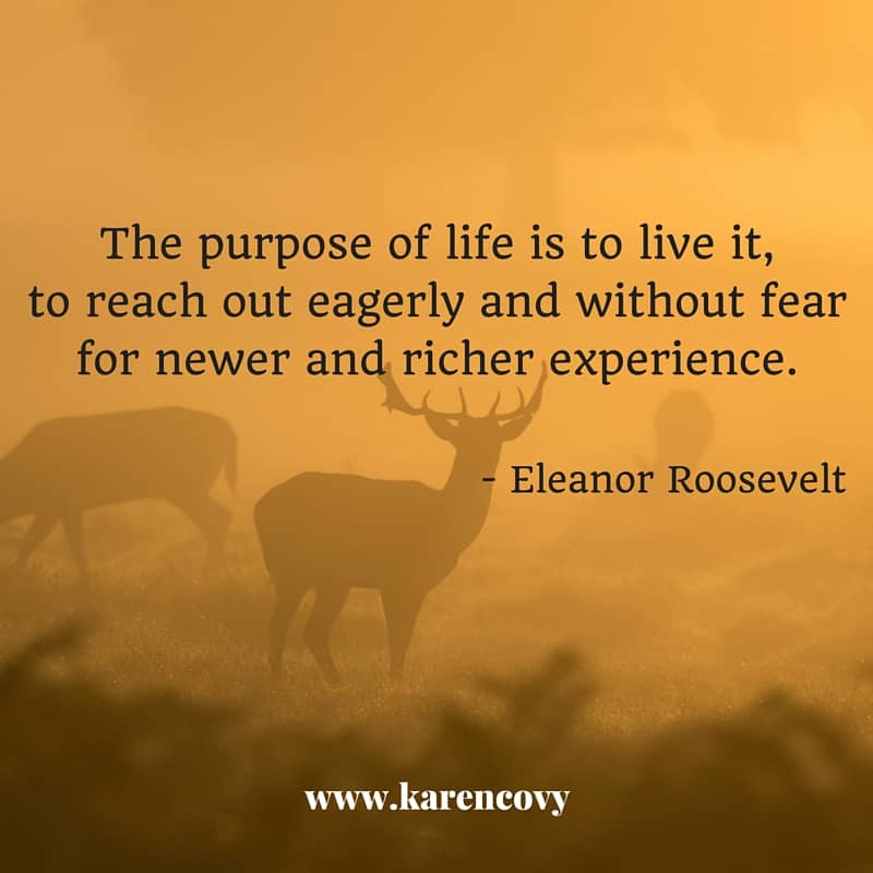 Eleanor Roosevelt Quote on scenic background: The purpose of life is to live it.