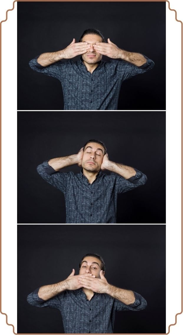 see, hear, and speak no evil