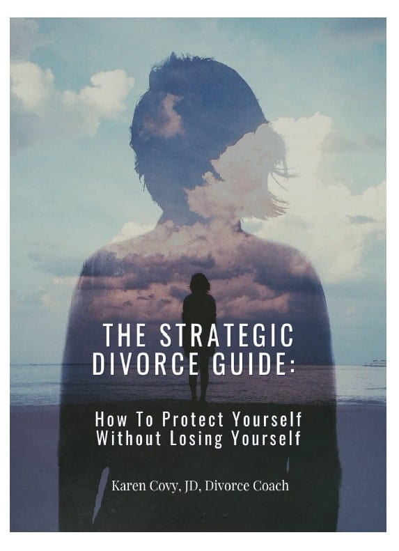 Strategic Divorce Guide Cover Cover of the Strategic Divorce Guide featuring a silhouette of a woman looking out at the ocean.