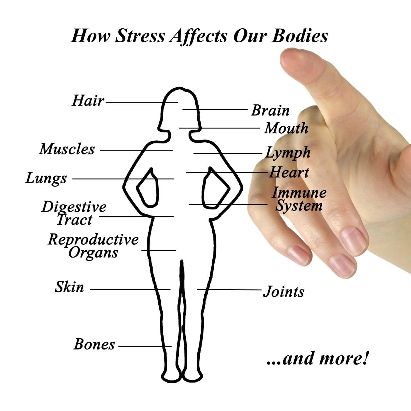 effects of stress on the body