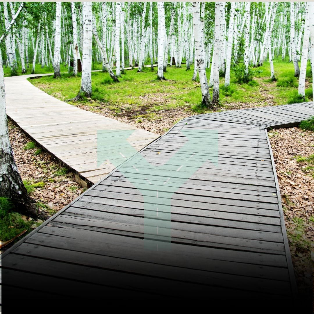 Choose Your Path Two wooden paths diverging in a wod with arrows going in opposite directions. Choose Your Path