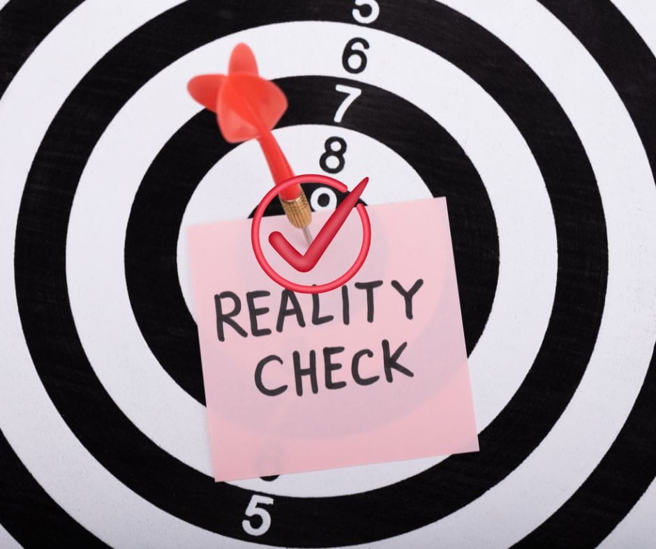 Bullseye with the word reality check and a red check mark on it.