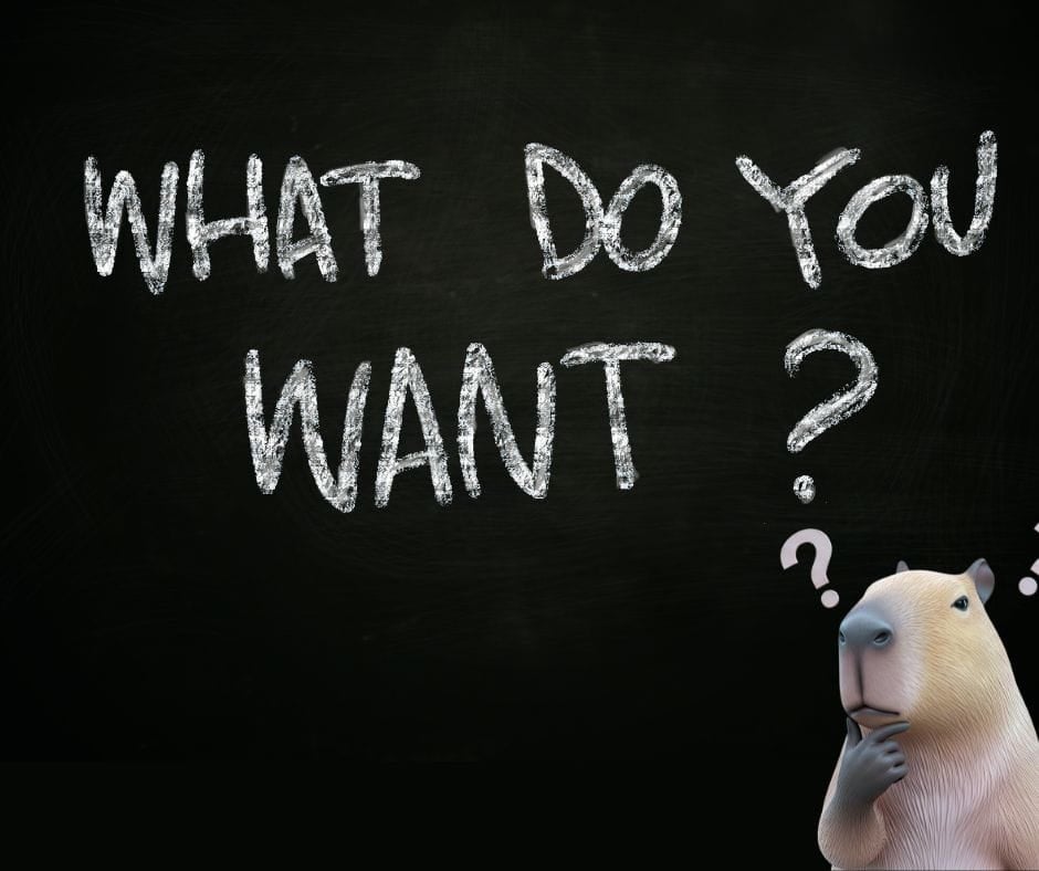 Hamster with words "What do you want" on a blackboard behind him.